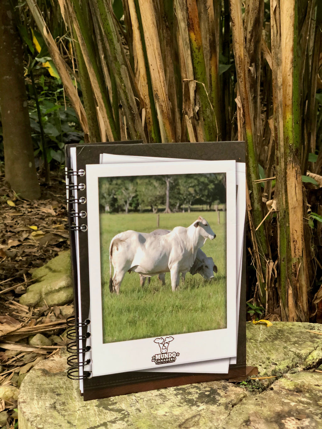 Cuaderno Brahman Blanco ⚪️ ( cuadriculado o rayado)