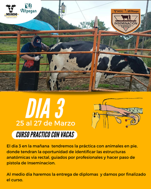 Curso de Inseminación Artificial Bovinos