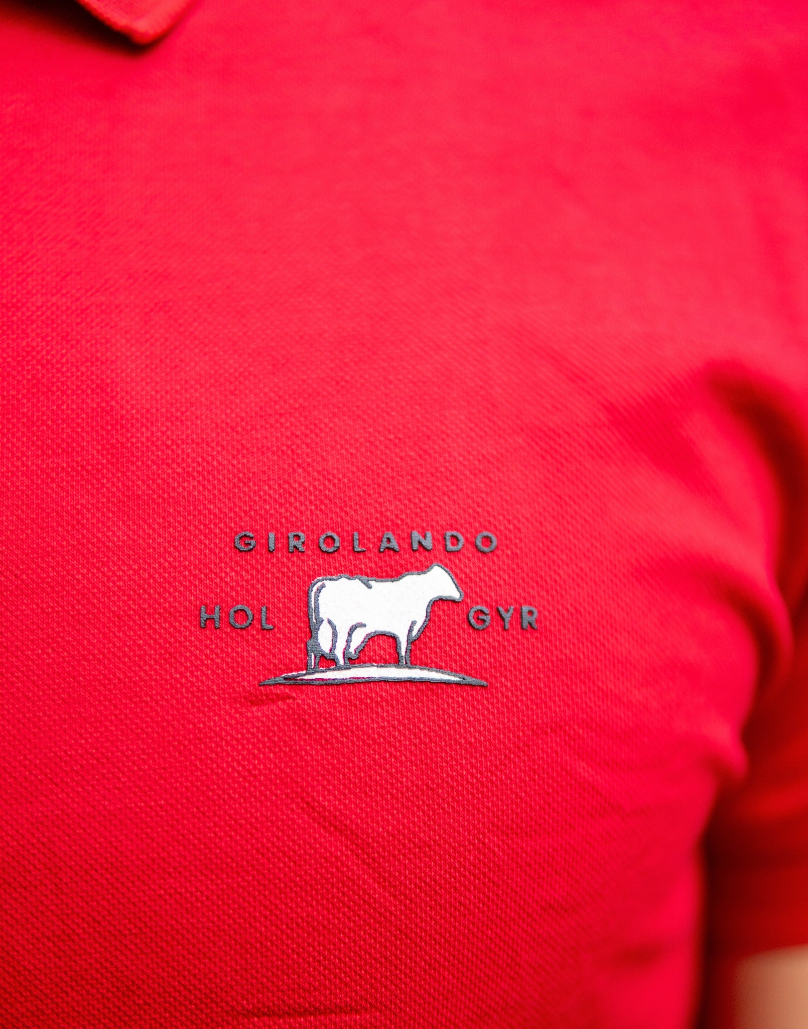 Polo Básica Girolando Roja