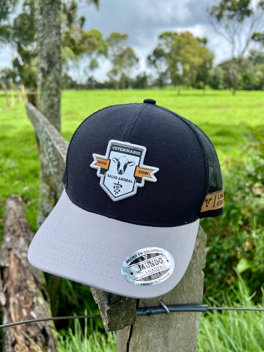 Gorra Veterinario Salud Animal Negro Gris