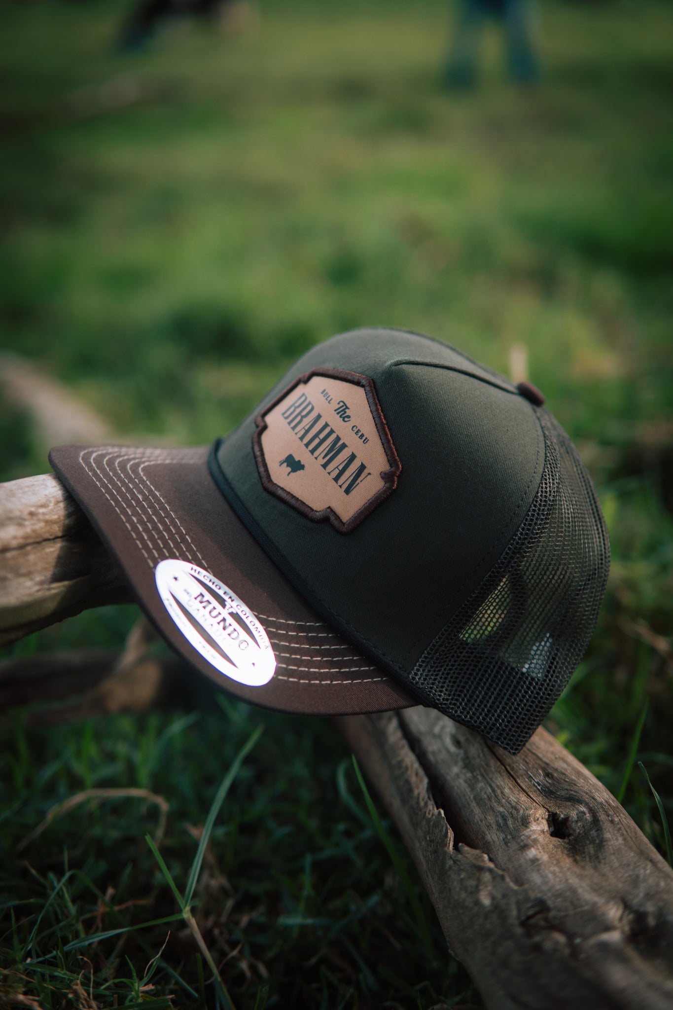 Gorra The Brahman Verde Cordon