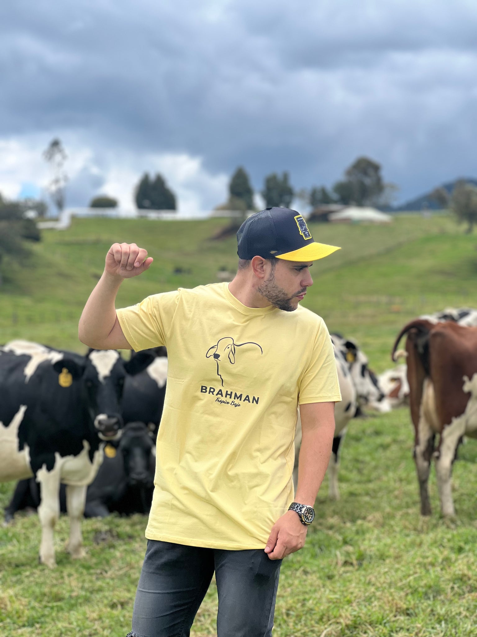 Camiseta Brahman Trópico Bajo Amarilla 2020