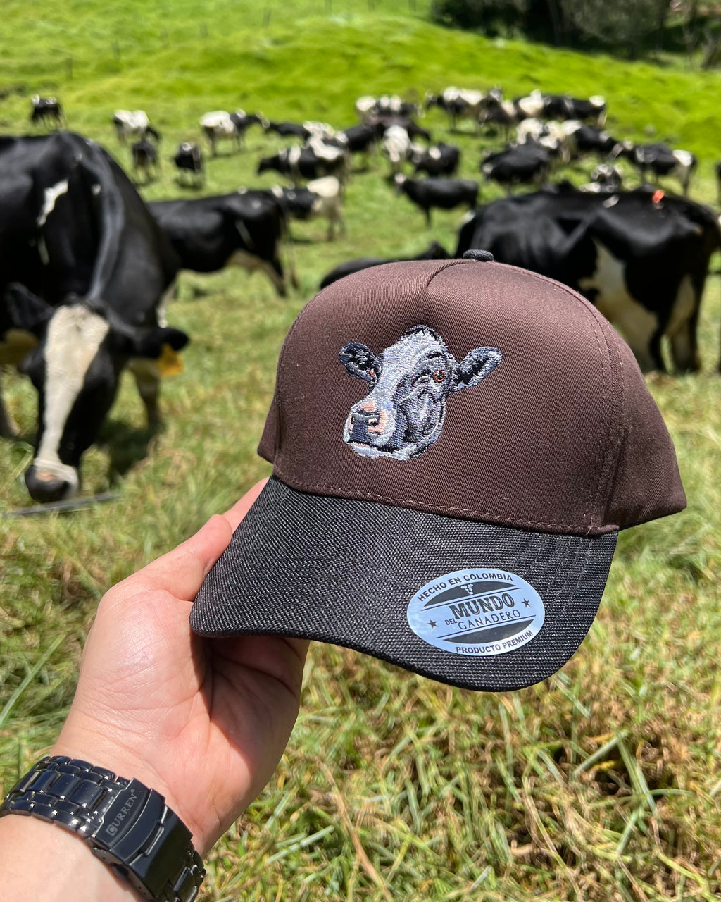 Gorra Holstein Bordada