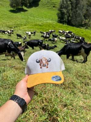 Gorra Gyr Bordada