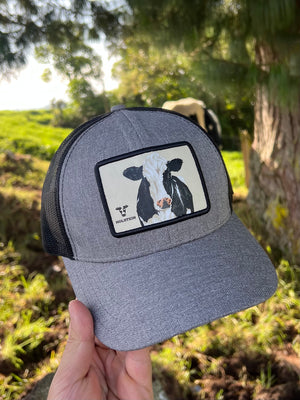 Gorra Holstein Recuadro Gris