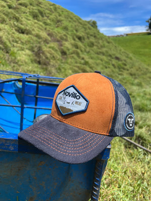 Gorra Novillo Brahman