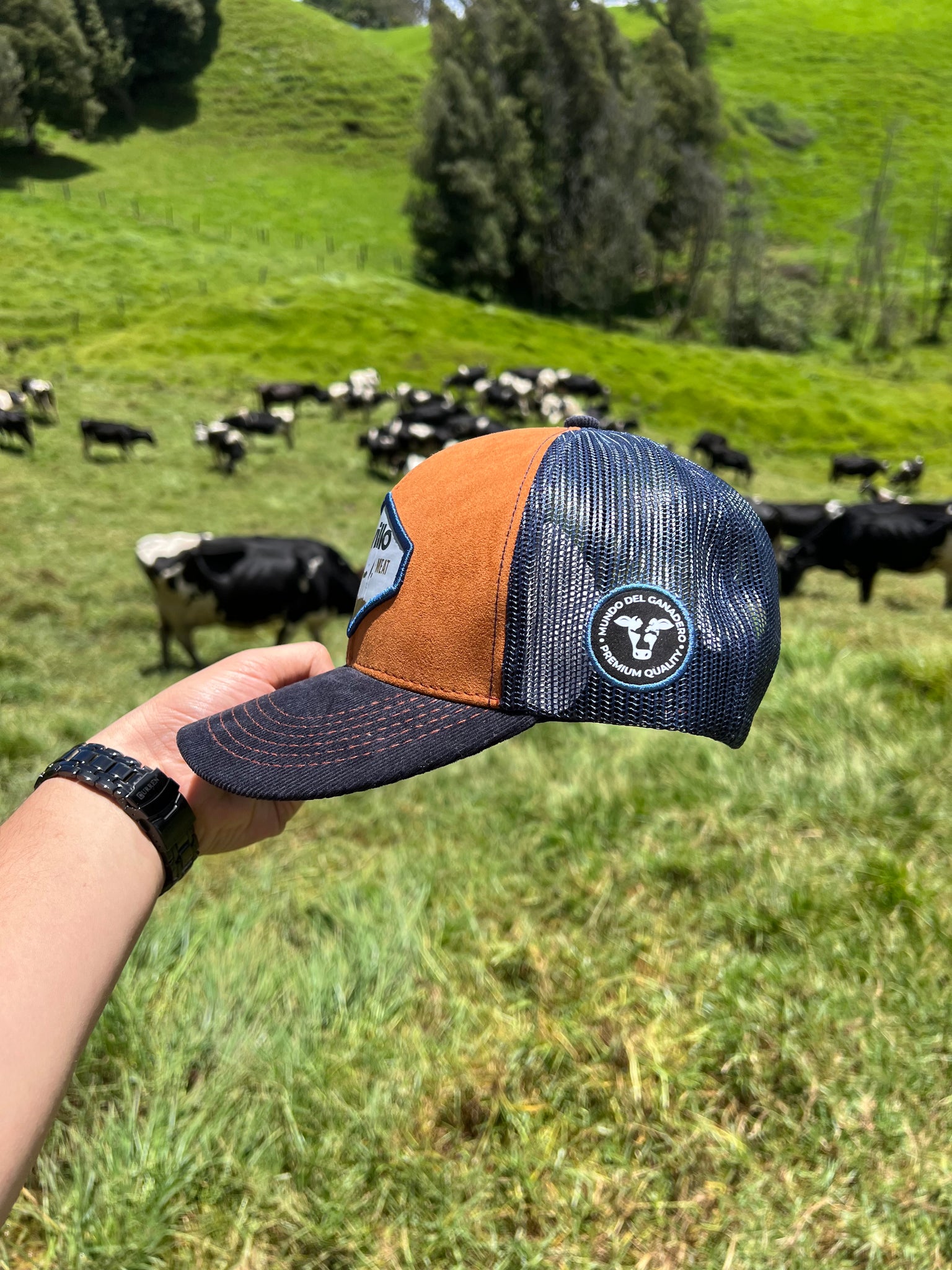 Gorra Novillo Brahman