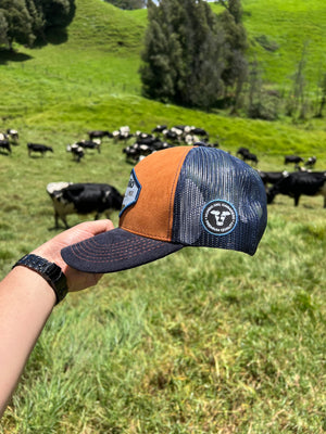 Gorra Novillo Brahman