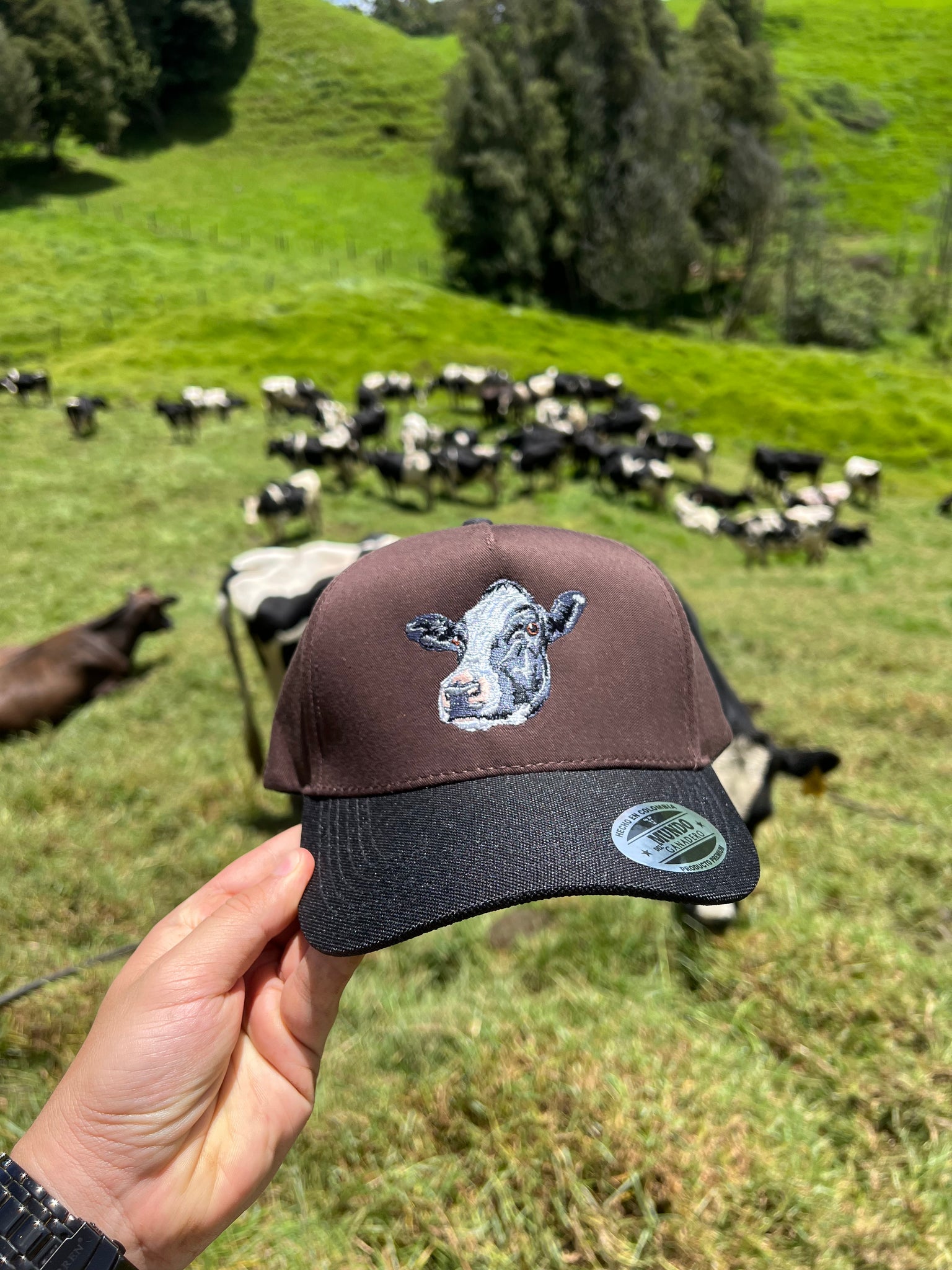 Gorra Holstein Bordada