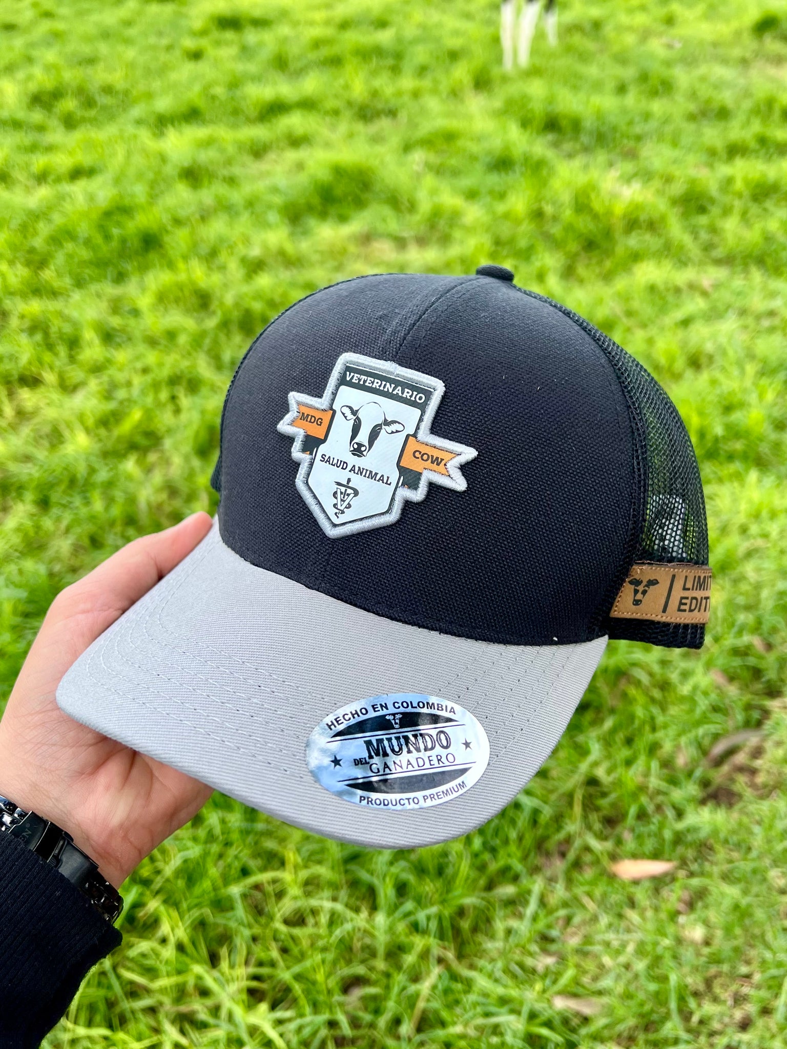 Gorra Veterinario Salud Animal Negro Gris