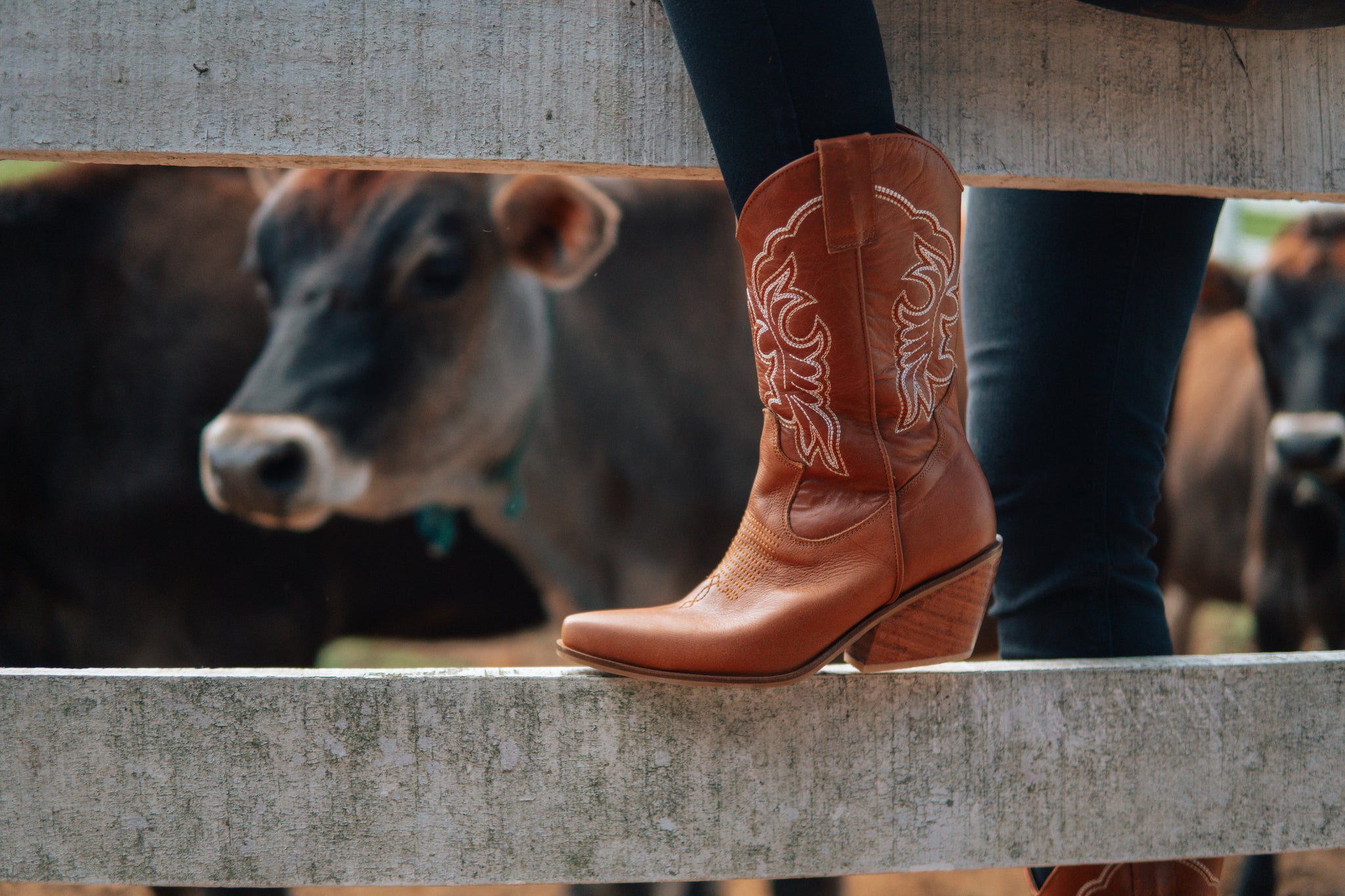 BOTAS TEXANAS AMBAR MDG