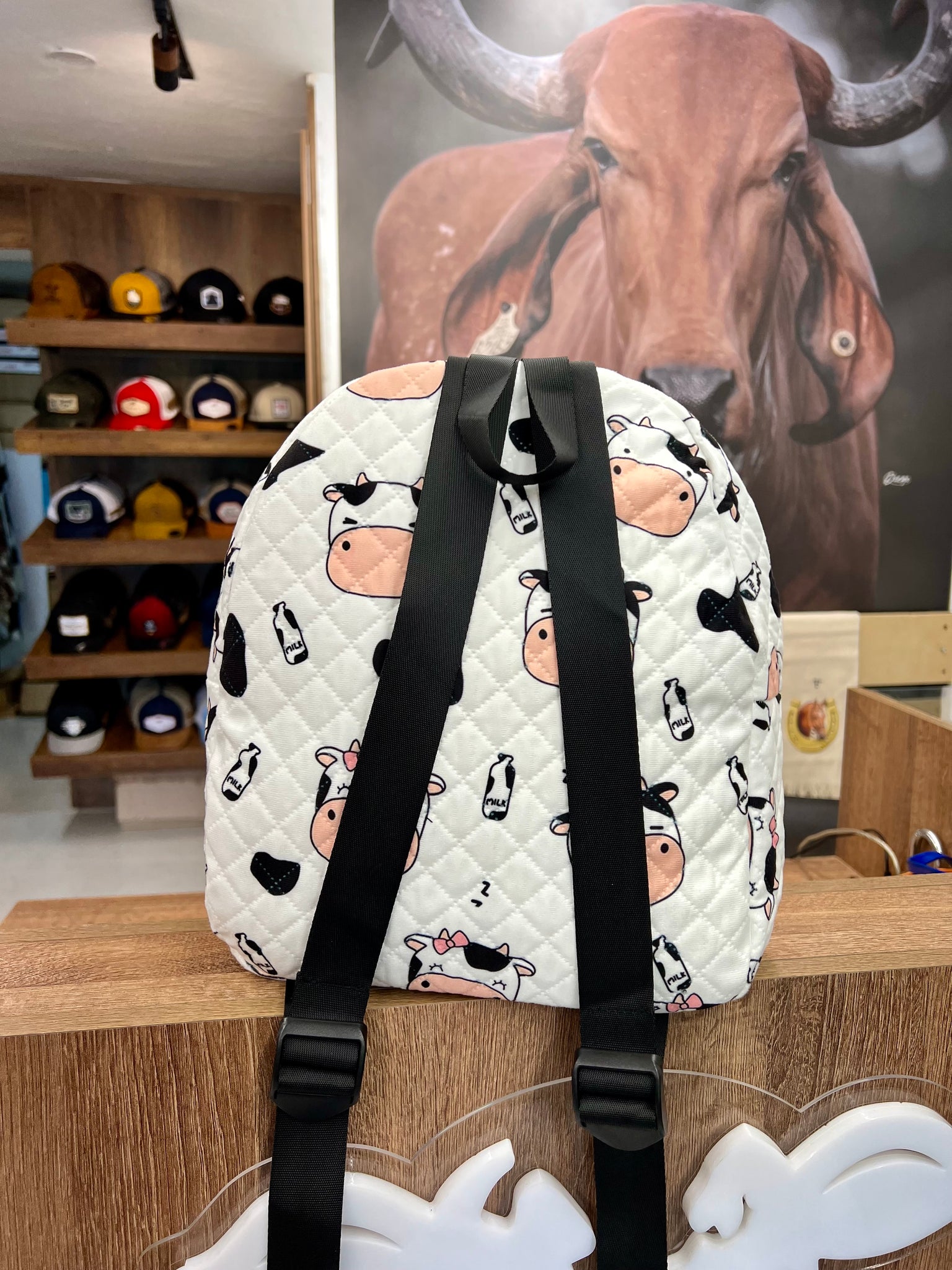 Morral Vacas