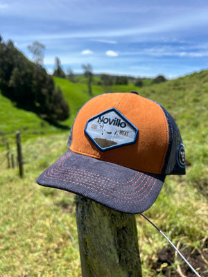 Gorra Novillo Brahman