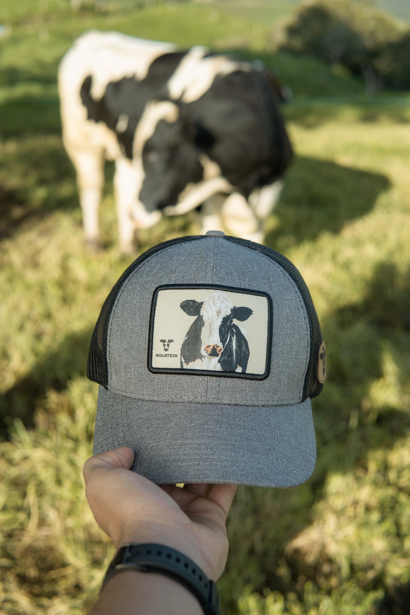 Gorra Holstein Recuadro Gris