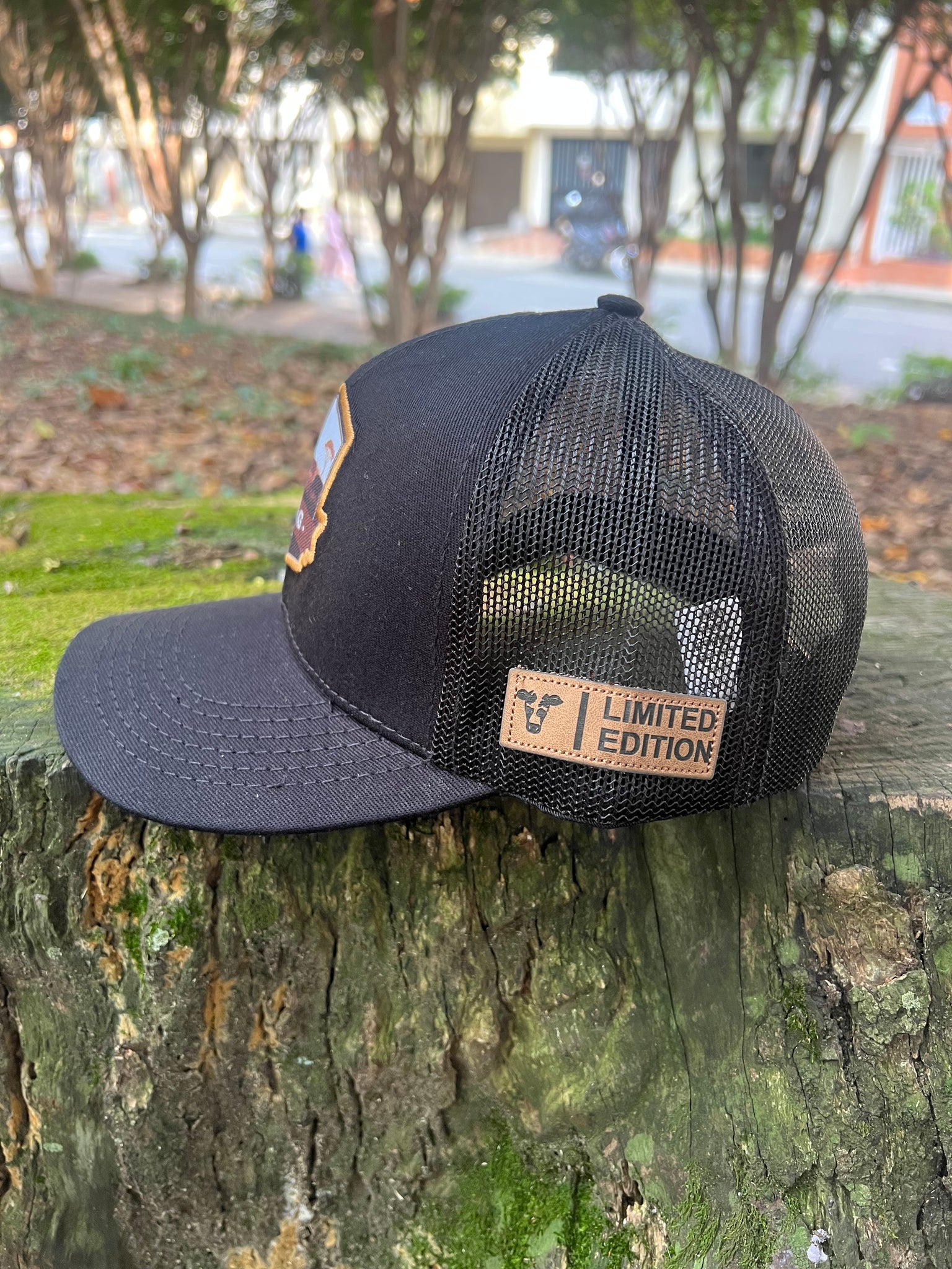 Gorra MDG Paisaje Negra