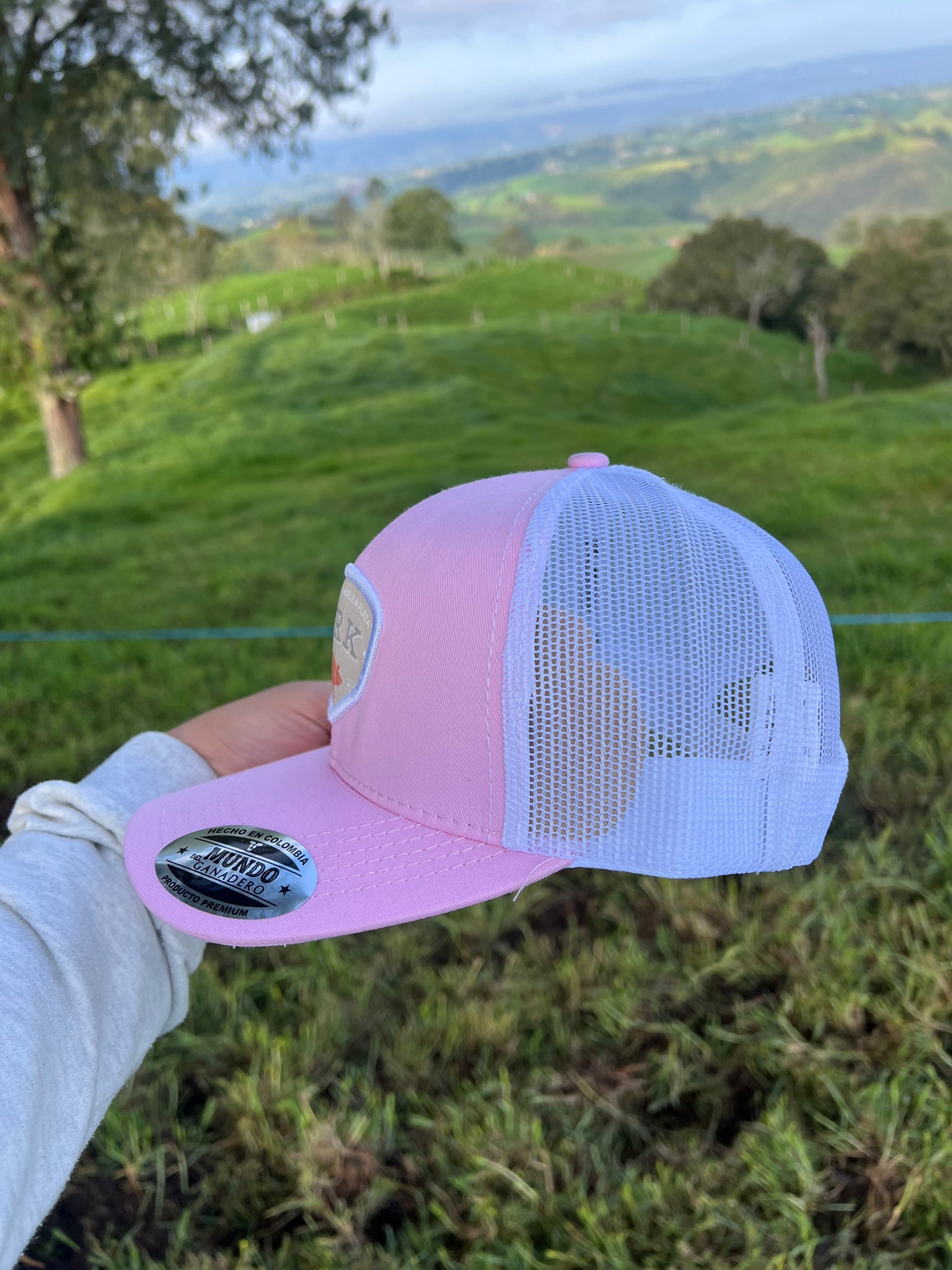 Gorra Pork Rosada