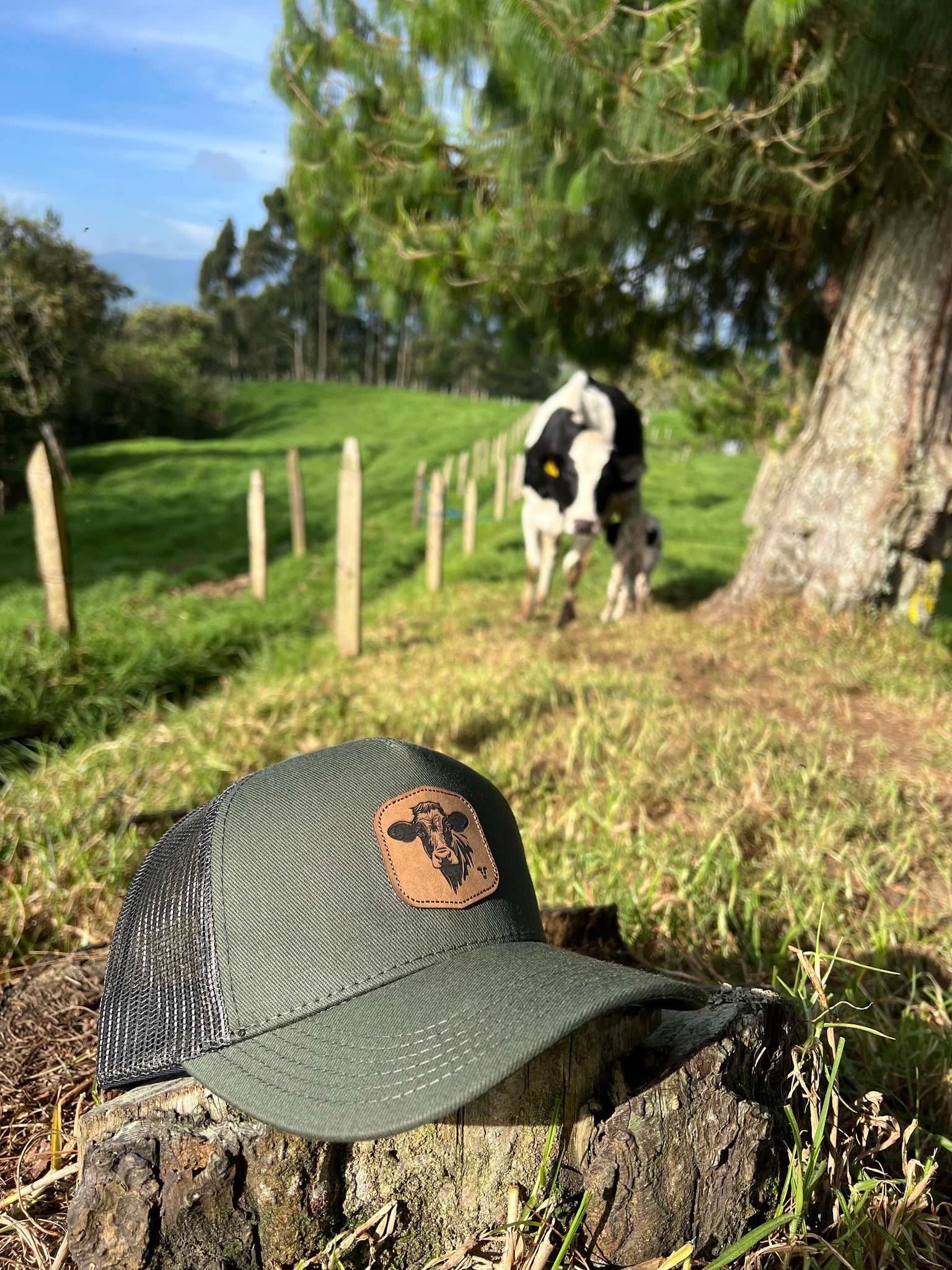 Gorra Holstein Verde