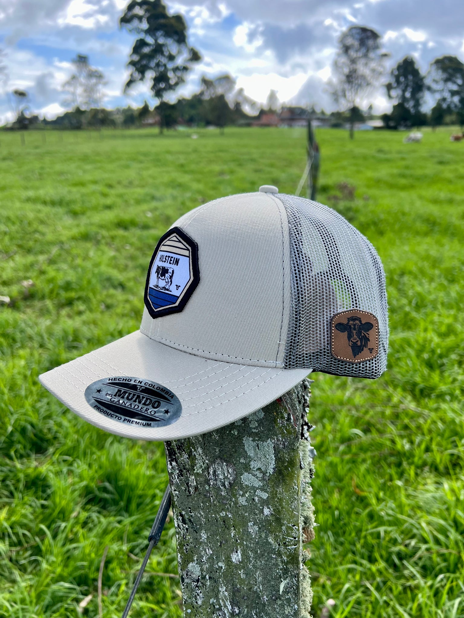 Gorra Holstein Beige