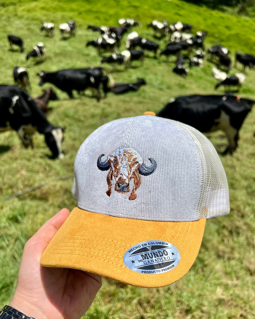 Gorra Gyr Bordada