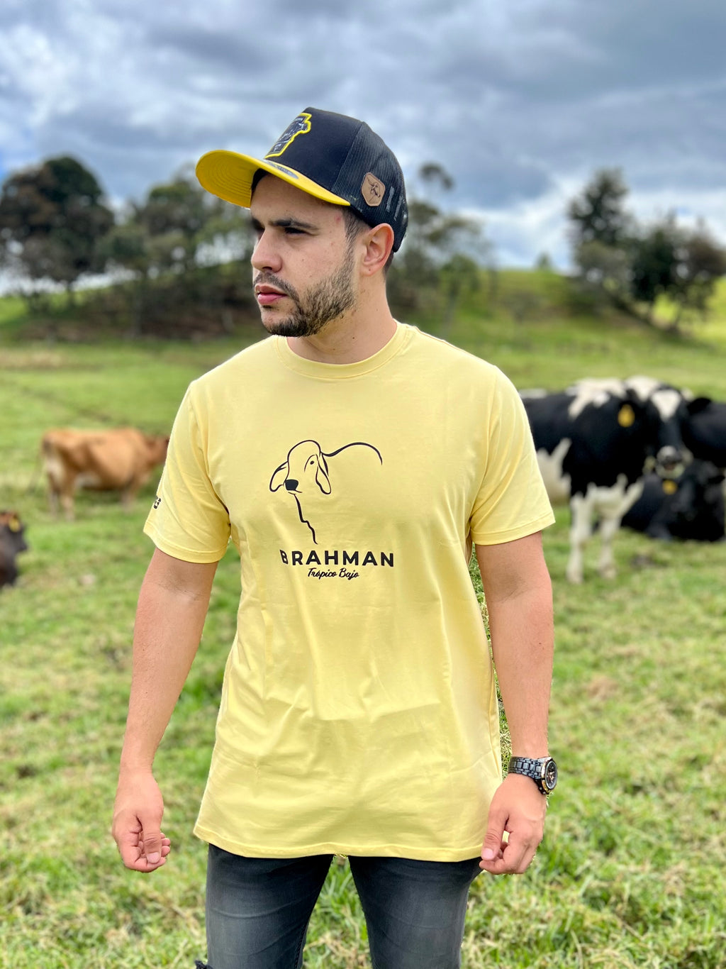 Camiseta Brahman Trópico Bajo Amarilla 2020