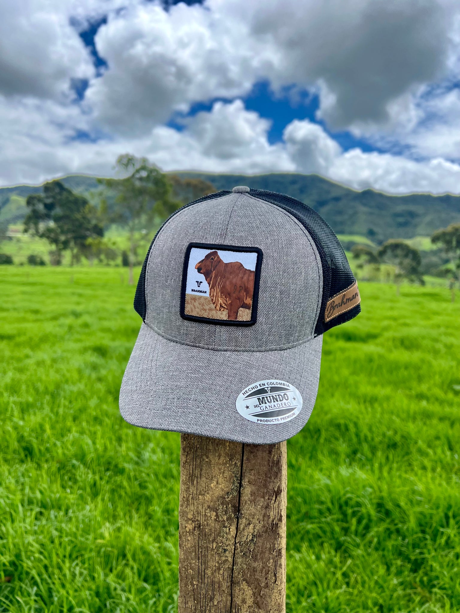 Gorra Brahman Rojo Gris