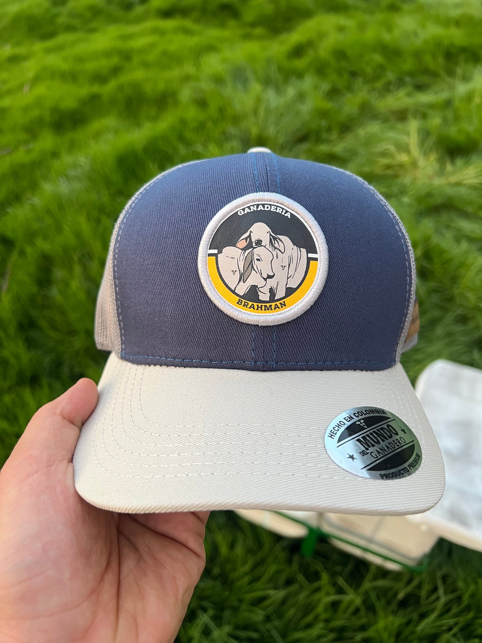 Gorra Brahman Novillos Azul