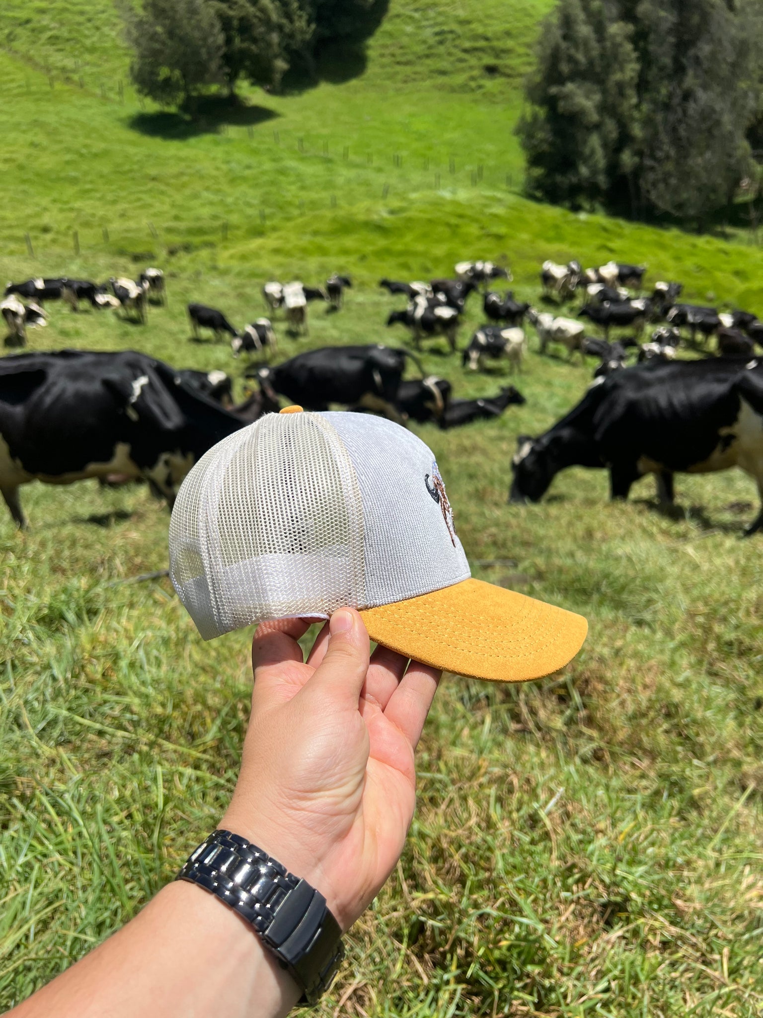 Gorra Gyr Bordada