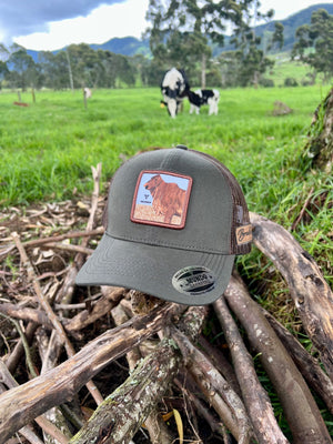 Gorra Brahman Rojo Verde