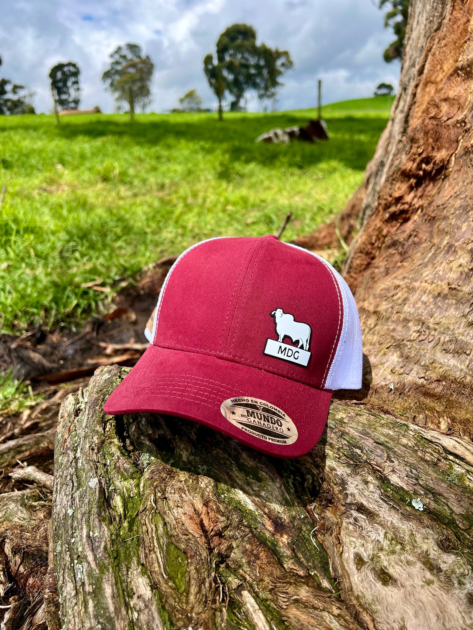 Gorra Brahman MDG Vinotinto