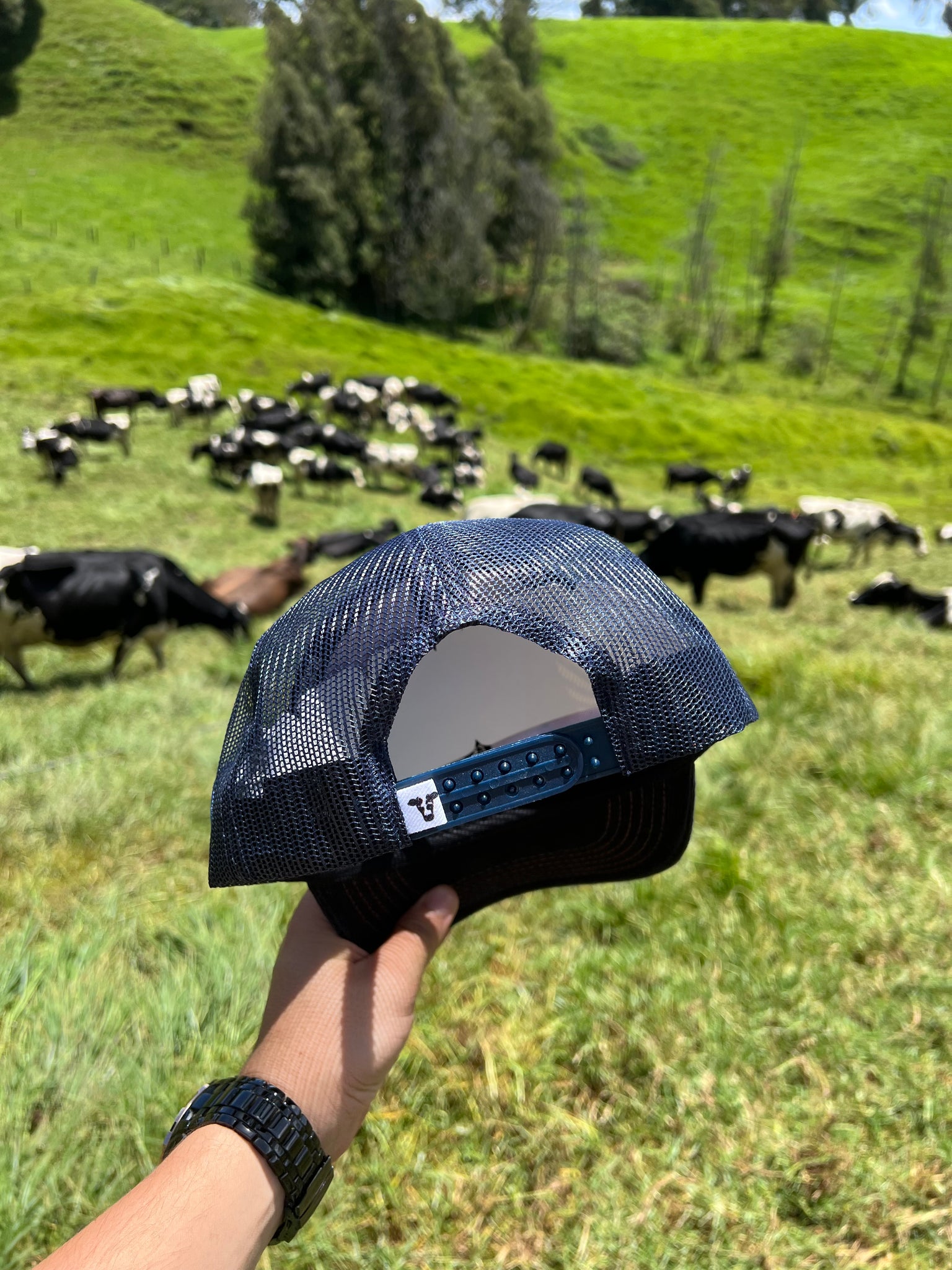 Gorra Novillo Brahman
