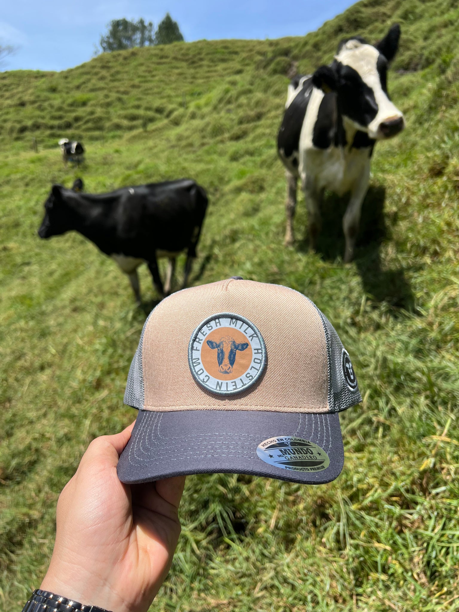 Gorra Holstein Fresh Milk