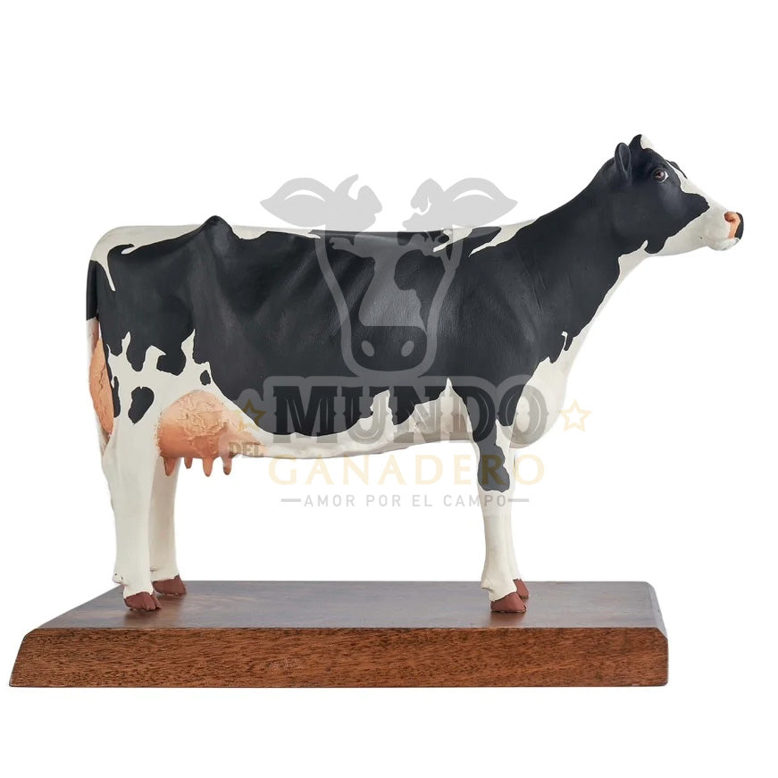 Vaca Holstein Cuerpo Entero