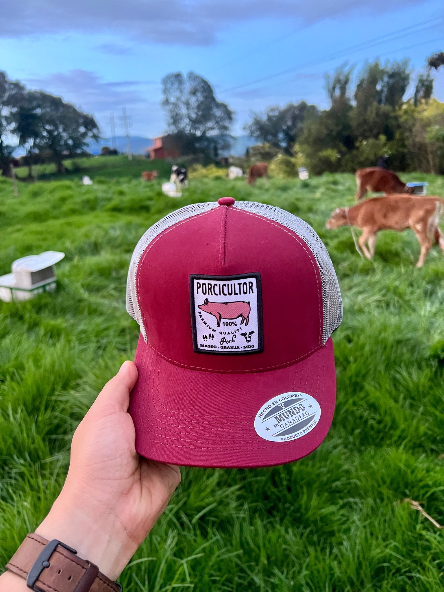 Gorra Porcicultor MDG Vino