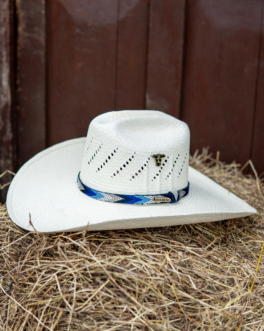 Sombrero Aguadeño Comun