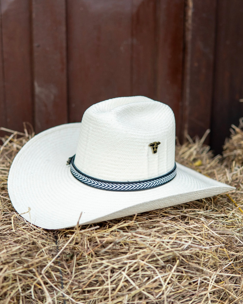 Sombrero Aguadeño Comun