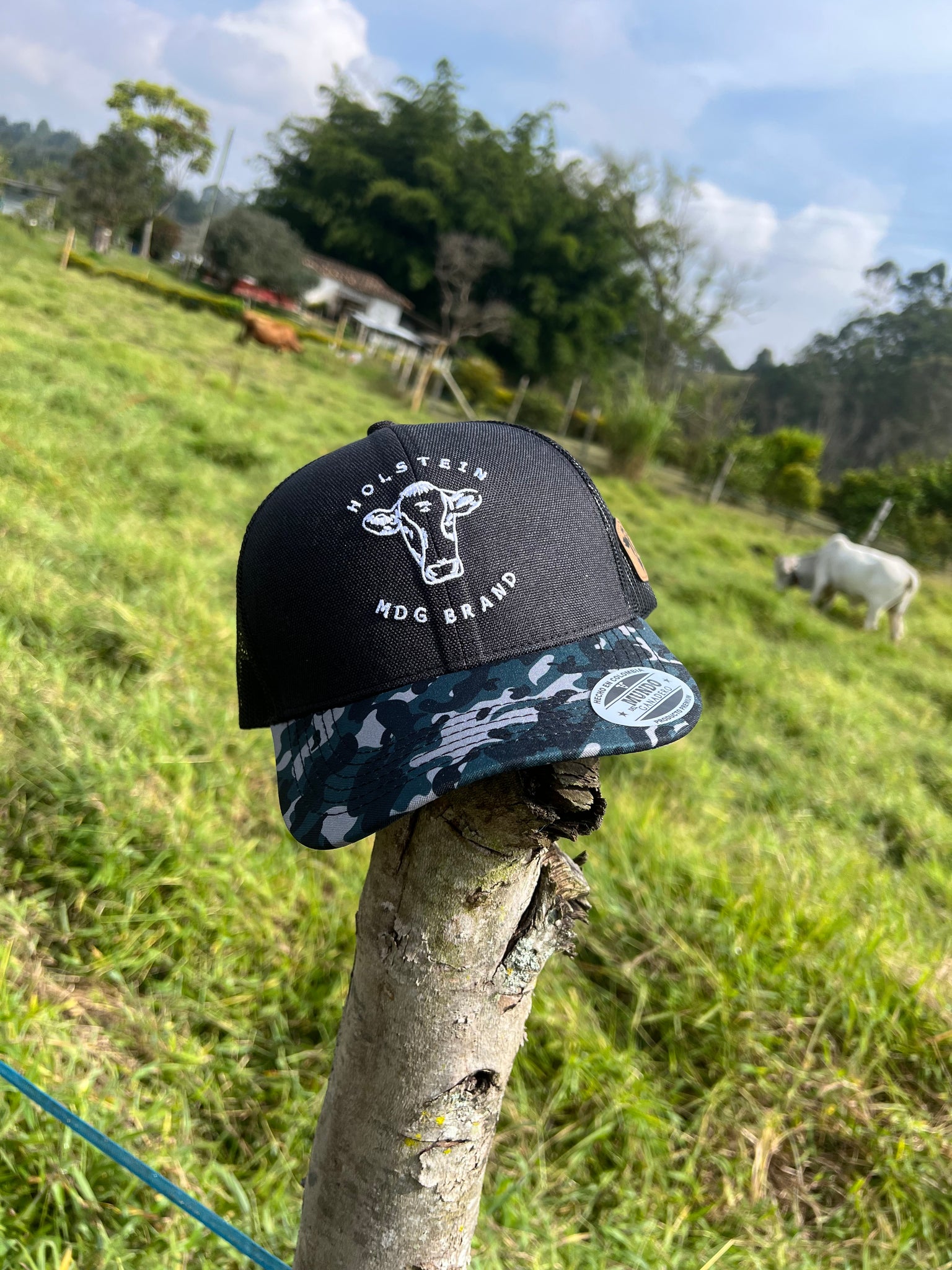 Gorra Holstein MDG Brand Negra