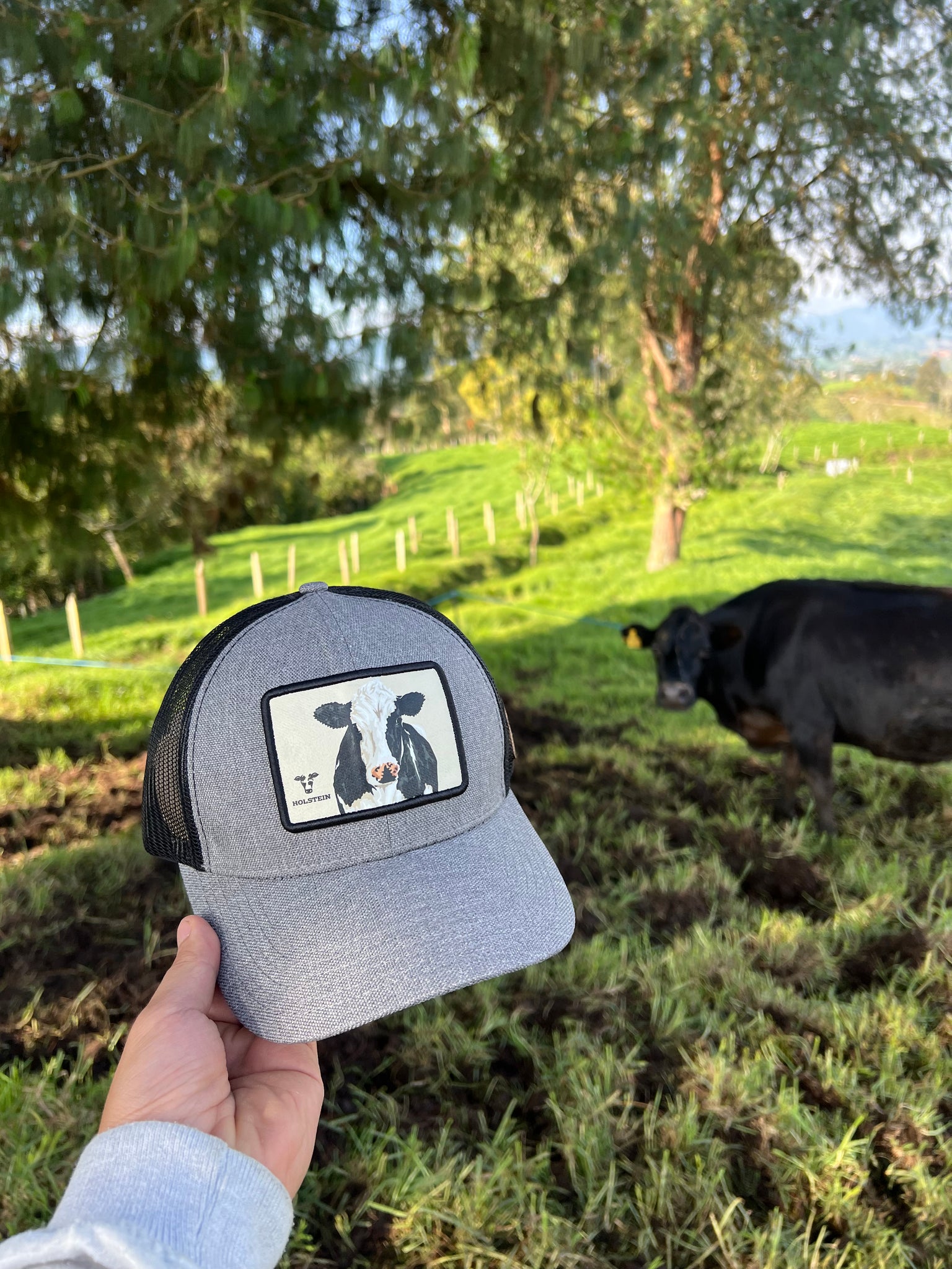 Gorra Holstein Recuadro Gris