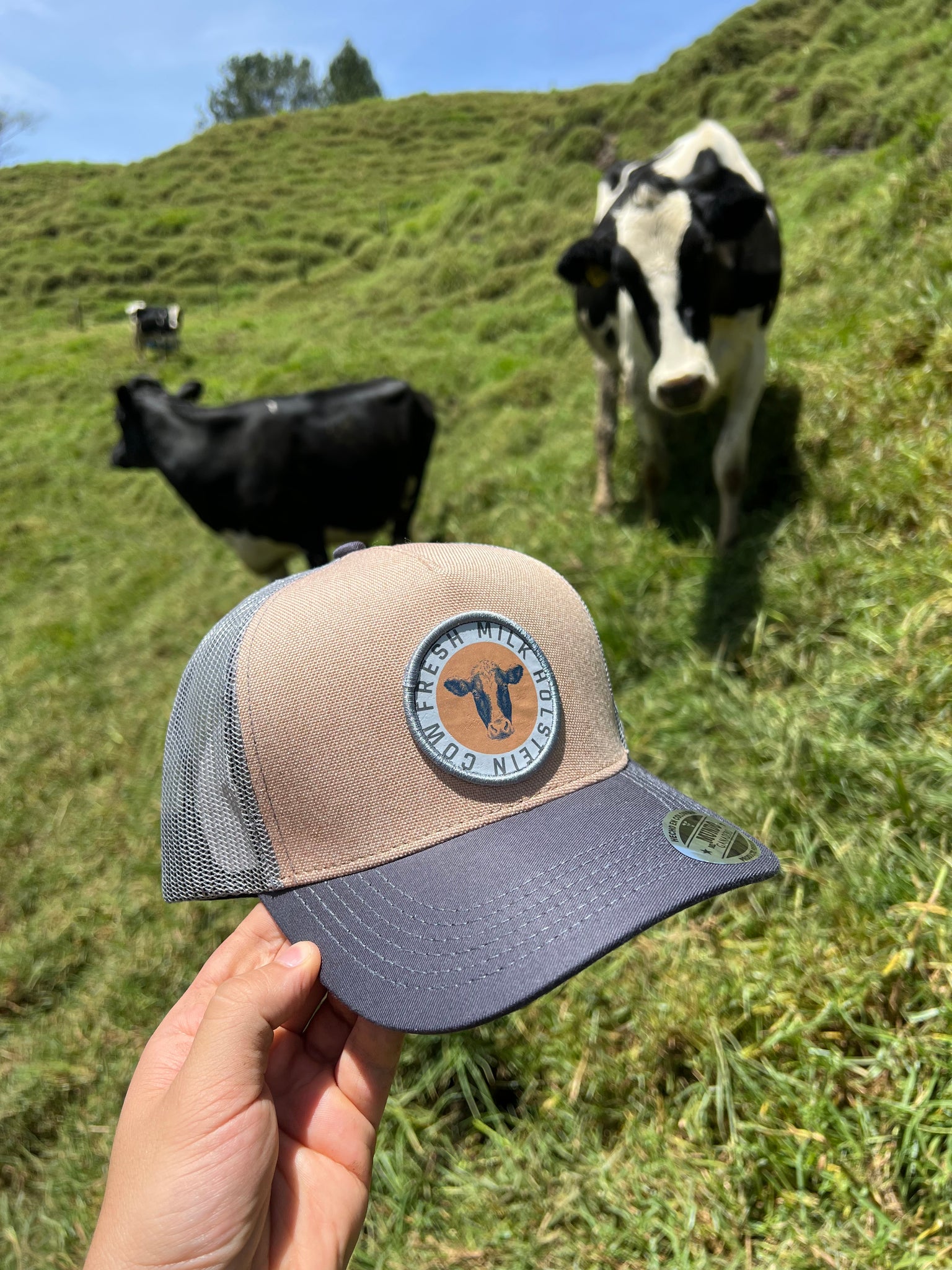 Gorra Holstein Fresh Milk