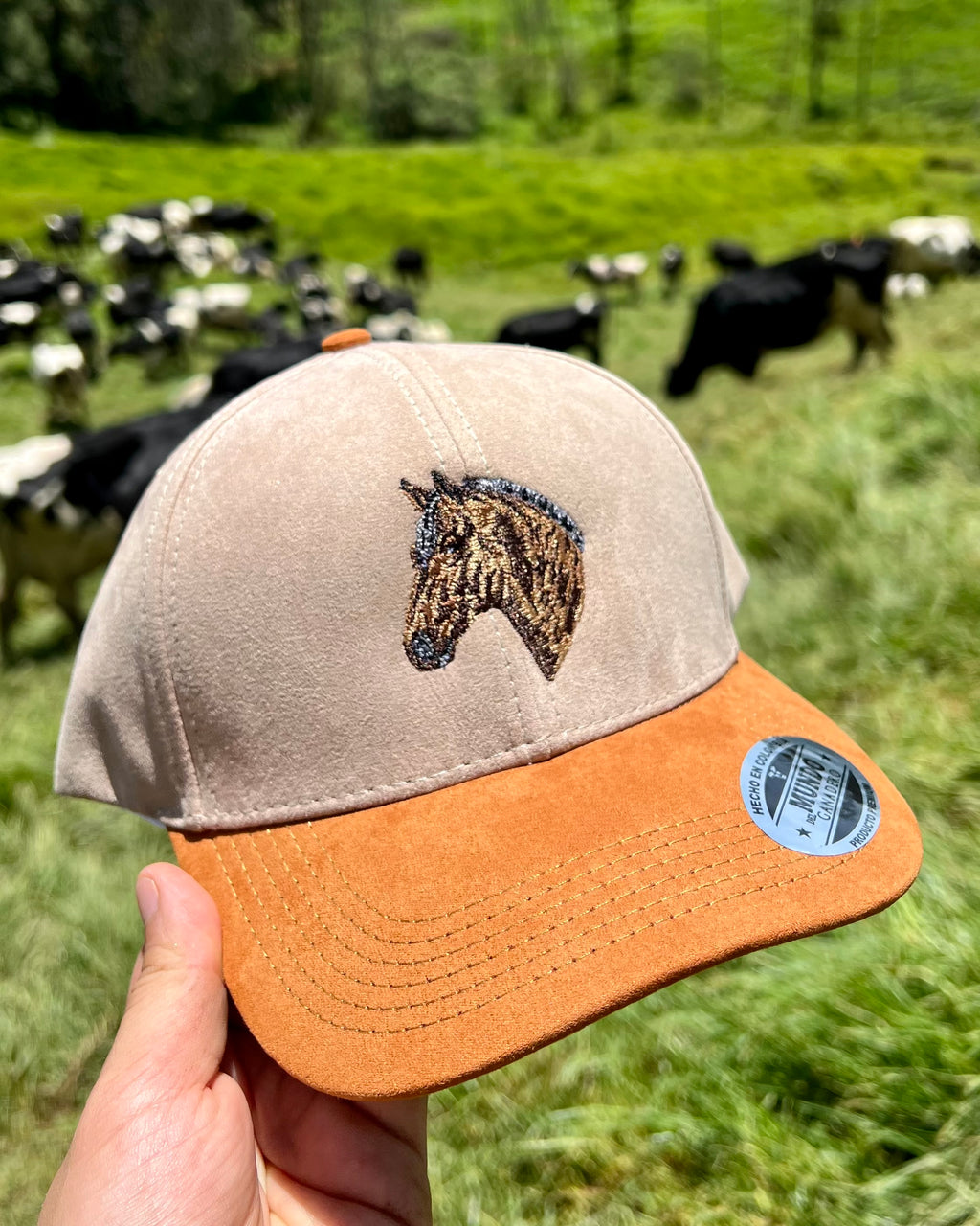 Gorra Caballo Bordada
