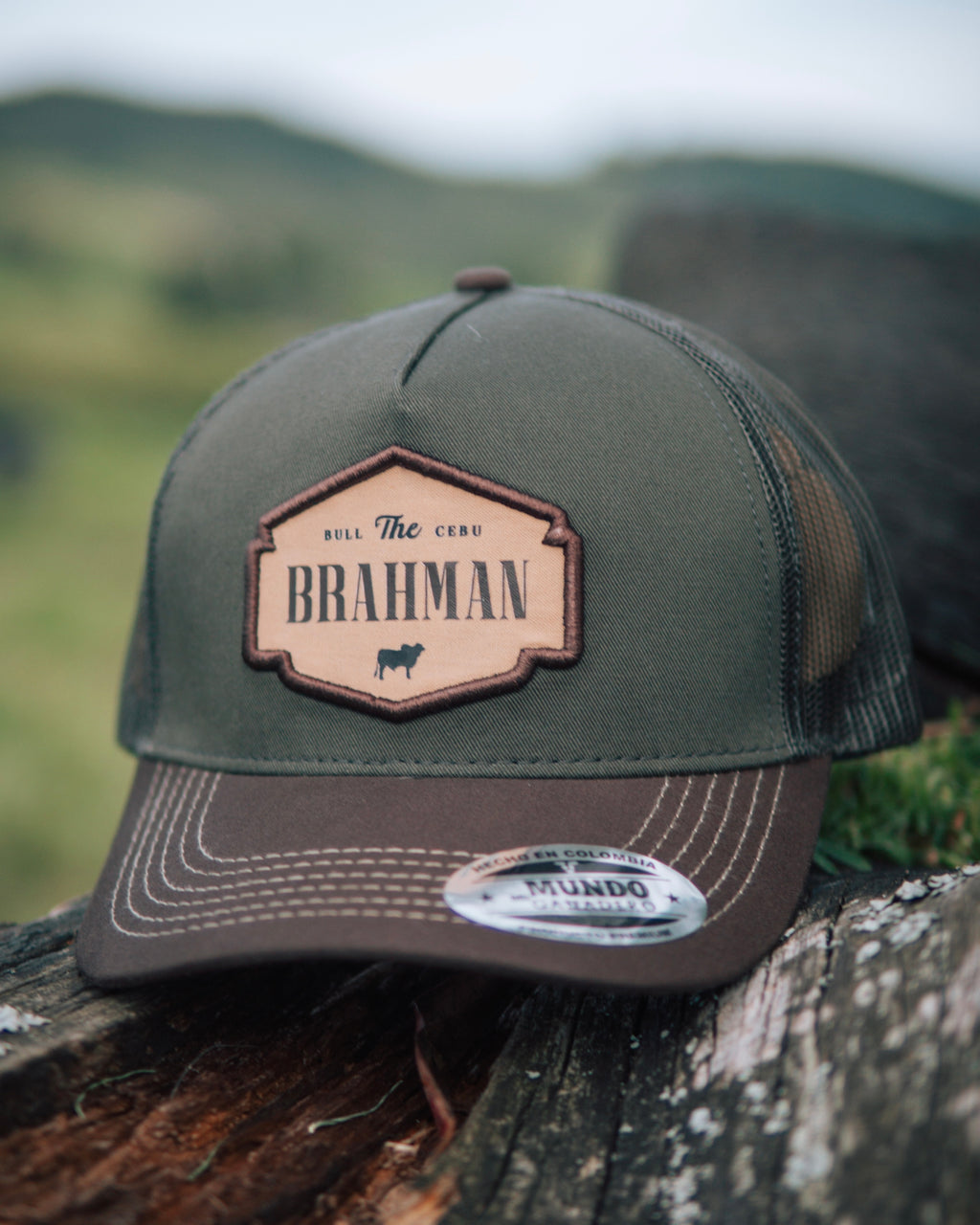 Gorra The Brahman Verde