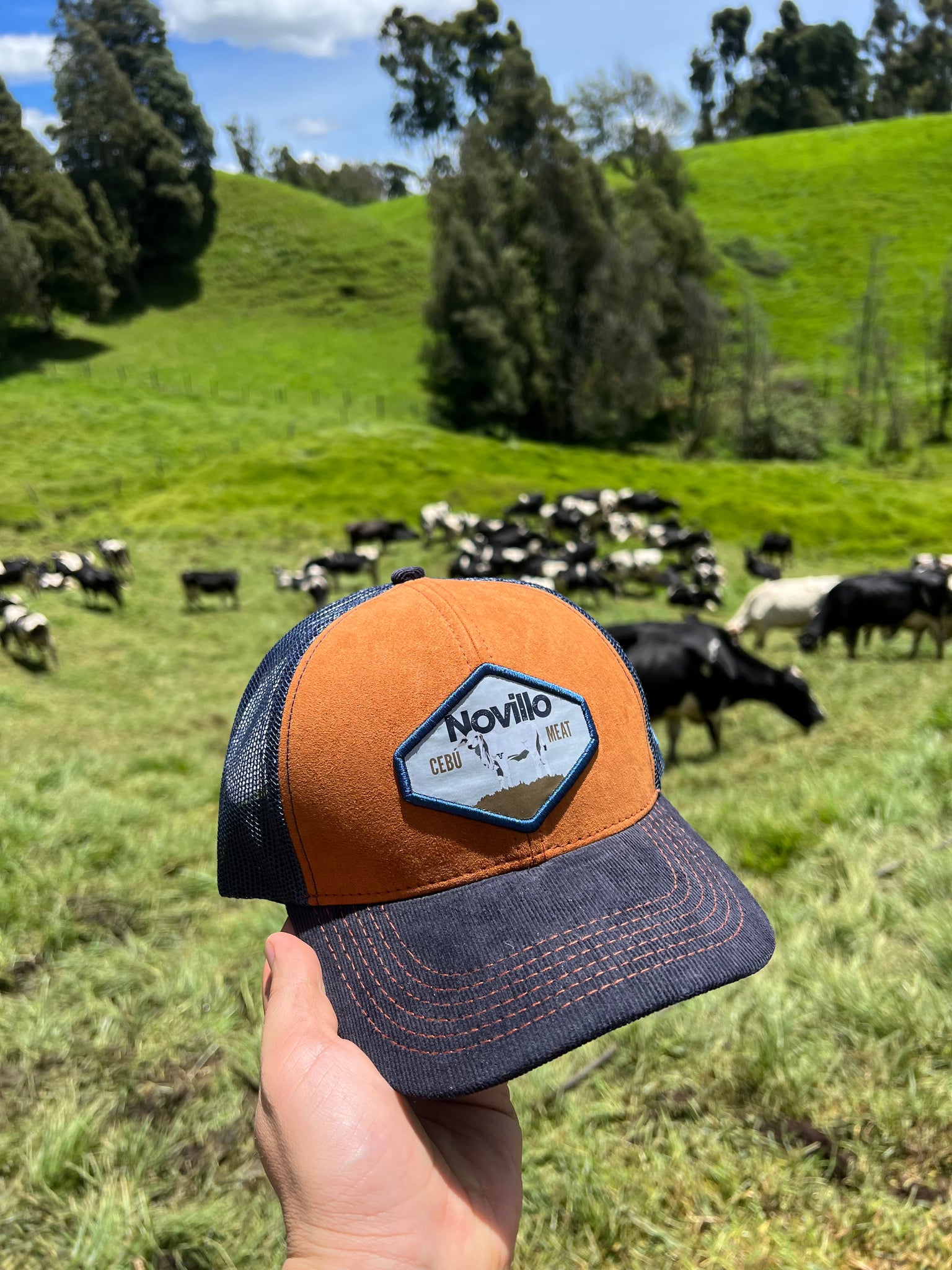 Gorra Novillo Brahman