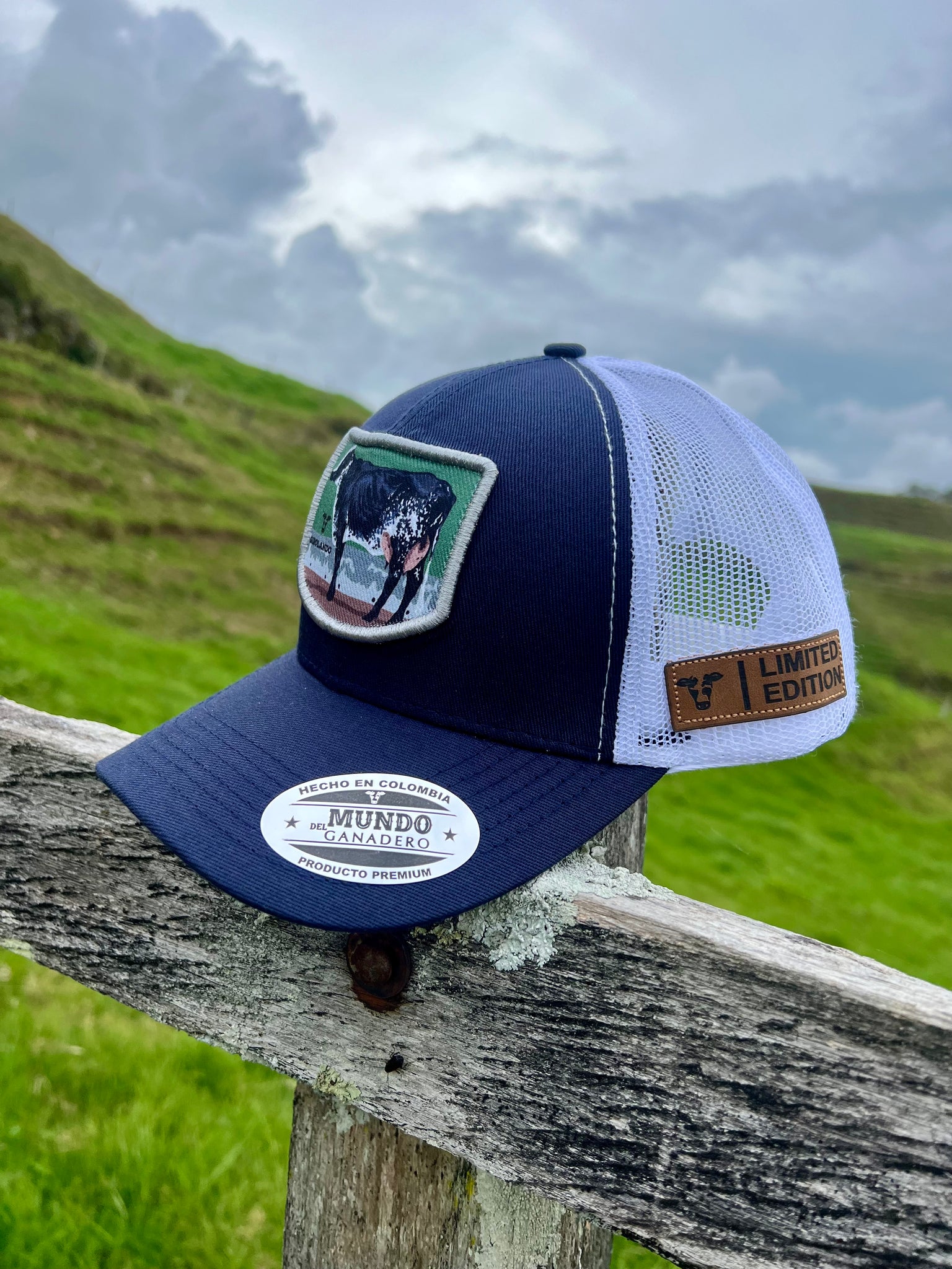 Gorra Girolando Azul