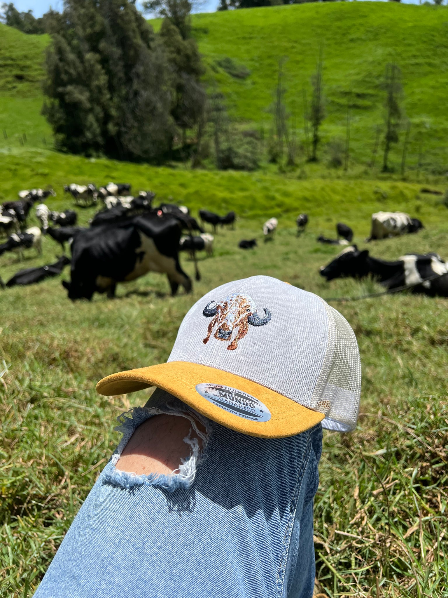 Gorra Gyr Bordada