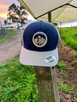 Gorra Brahman Novillos Azul