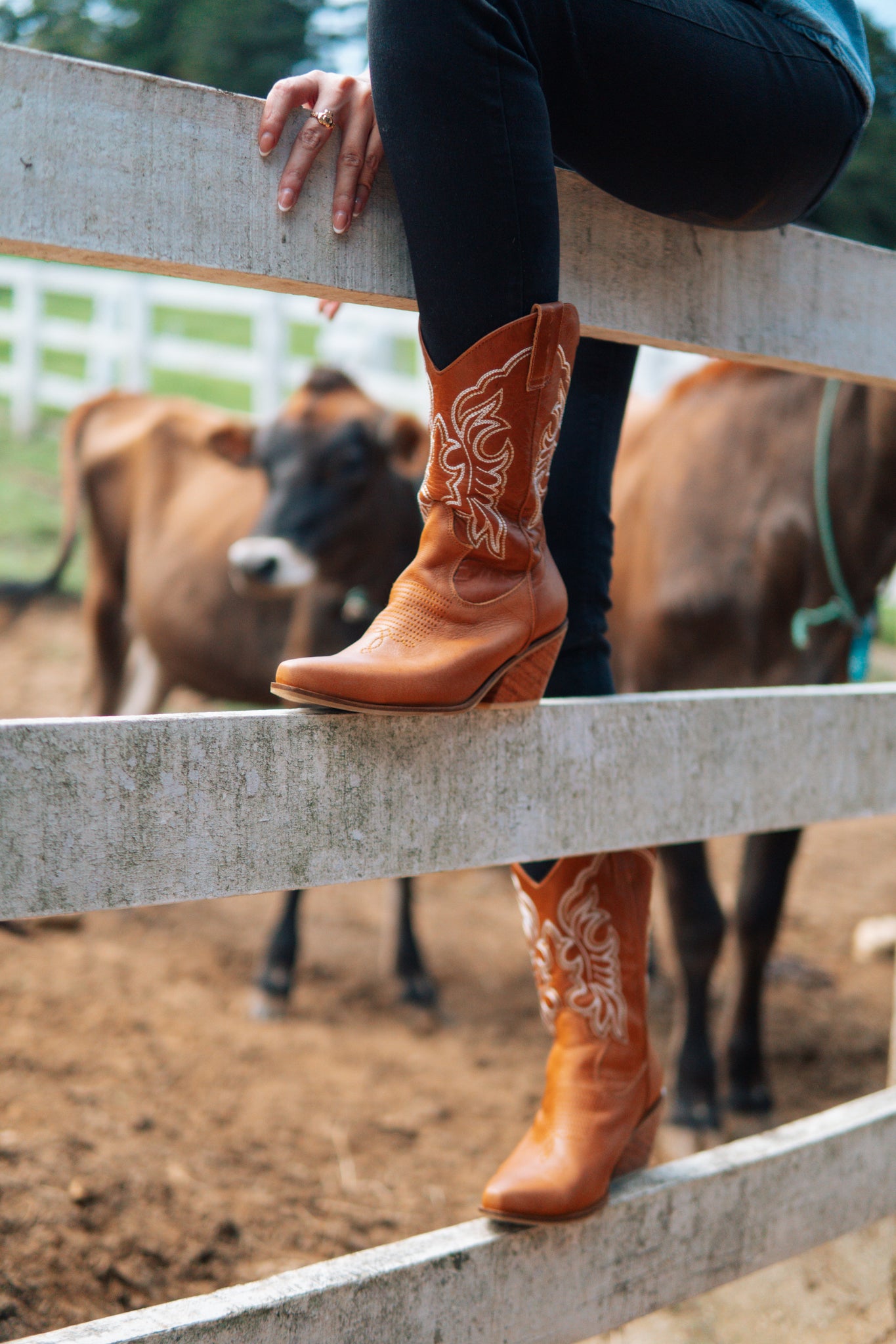 BOTAS TEXANAS AMBAR MDG