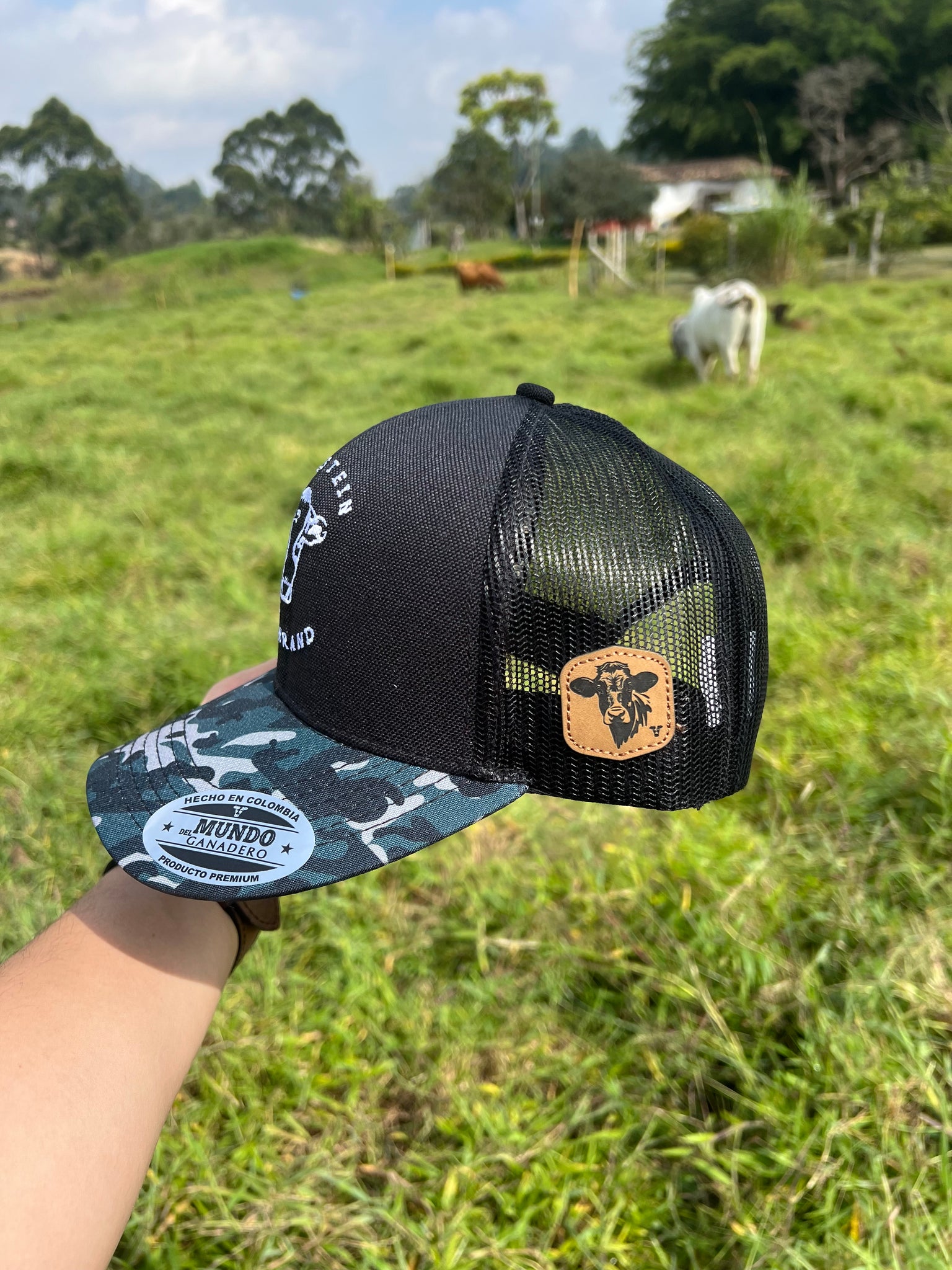 Gorra Holstein MDG Brand Negra