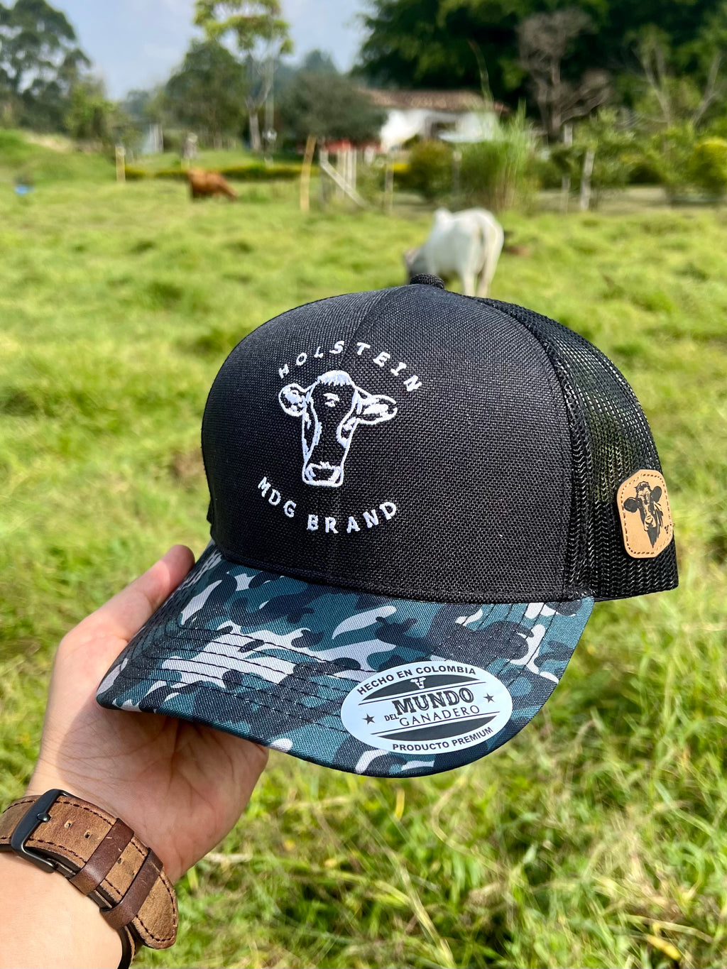 Gorra Holstein MDG Brand Negra