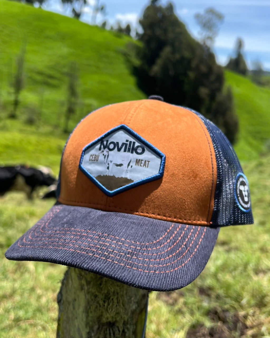 Gorra Novillo Brahman