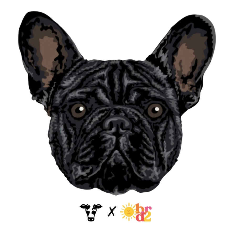 Frenchie Negro Bordado