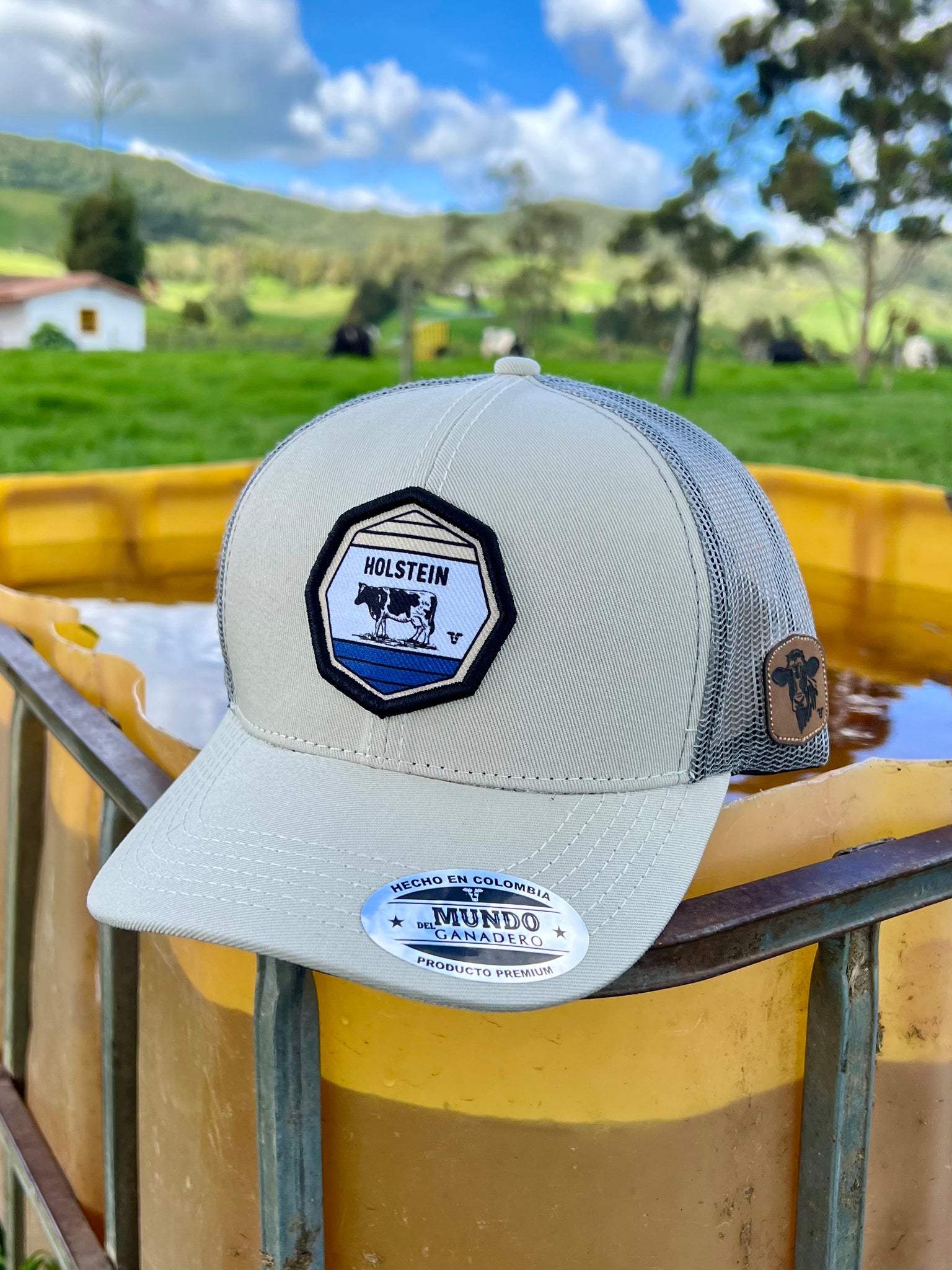 Gorra Holstein Beige